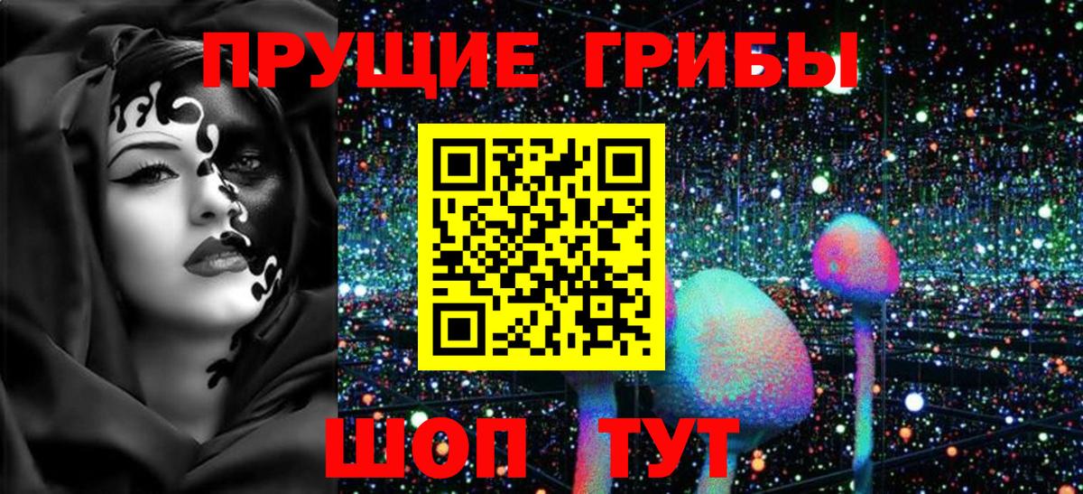 Псилоцибиновые грибы Cubensis  Вход с VPN  Златоуст 